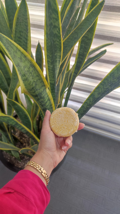 شامپو بار 2*1